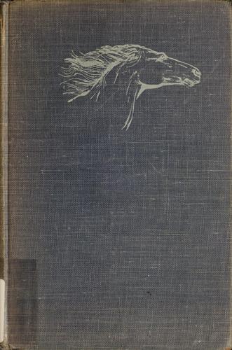 Cover of The silver brumby