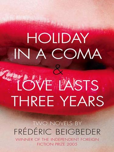 Cover of Holiday in a coma