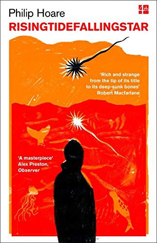 Cover of Risingtidefallingstar