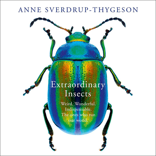 Cover of Extraordinary Insects