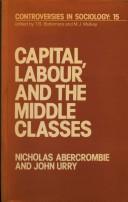 Cover of Capital, labour, and the middle classes