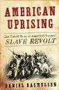 Cover of American Uprising
