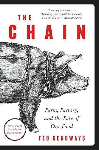 Cover of The chain