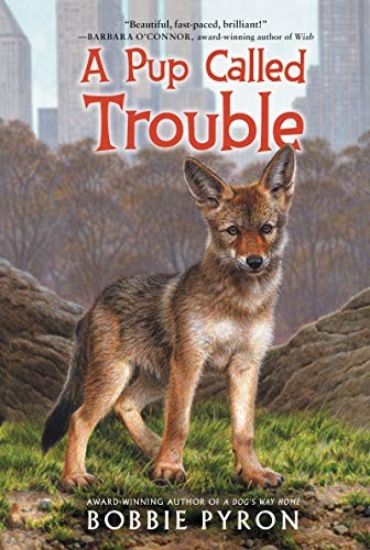 Cover of A pup called trouble