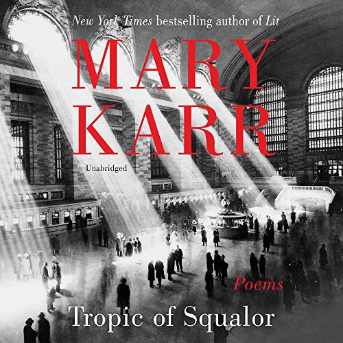 Cover of Tropic of squalor