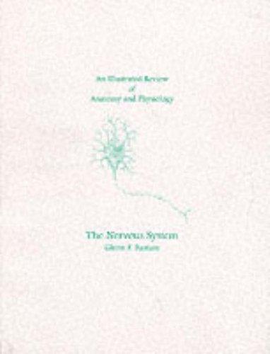 Cover of An illustrated review of the nervous system