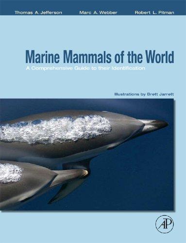 Cover of Marine mammals of the world
