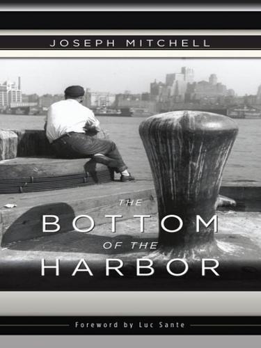 Cover of The Bottom of the Harbor