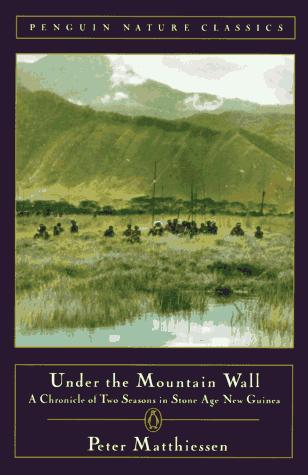 Cover of Under the Mountain Wall