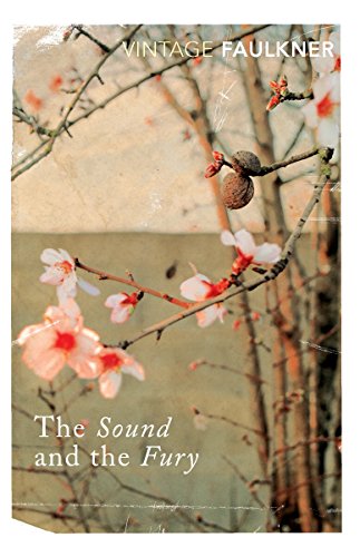 Cover of The Sound and the Fury