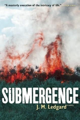 Cover of Submergence