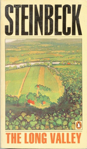 Cover of The Long Valley