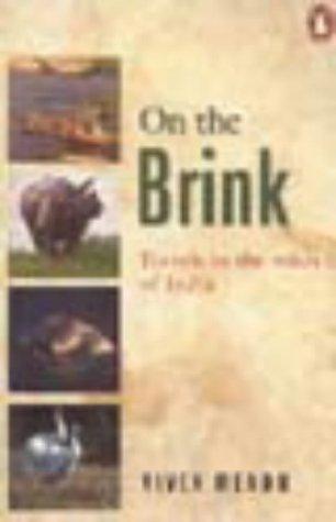 Cover of On the brink