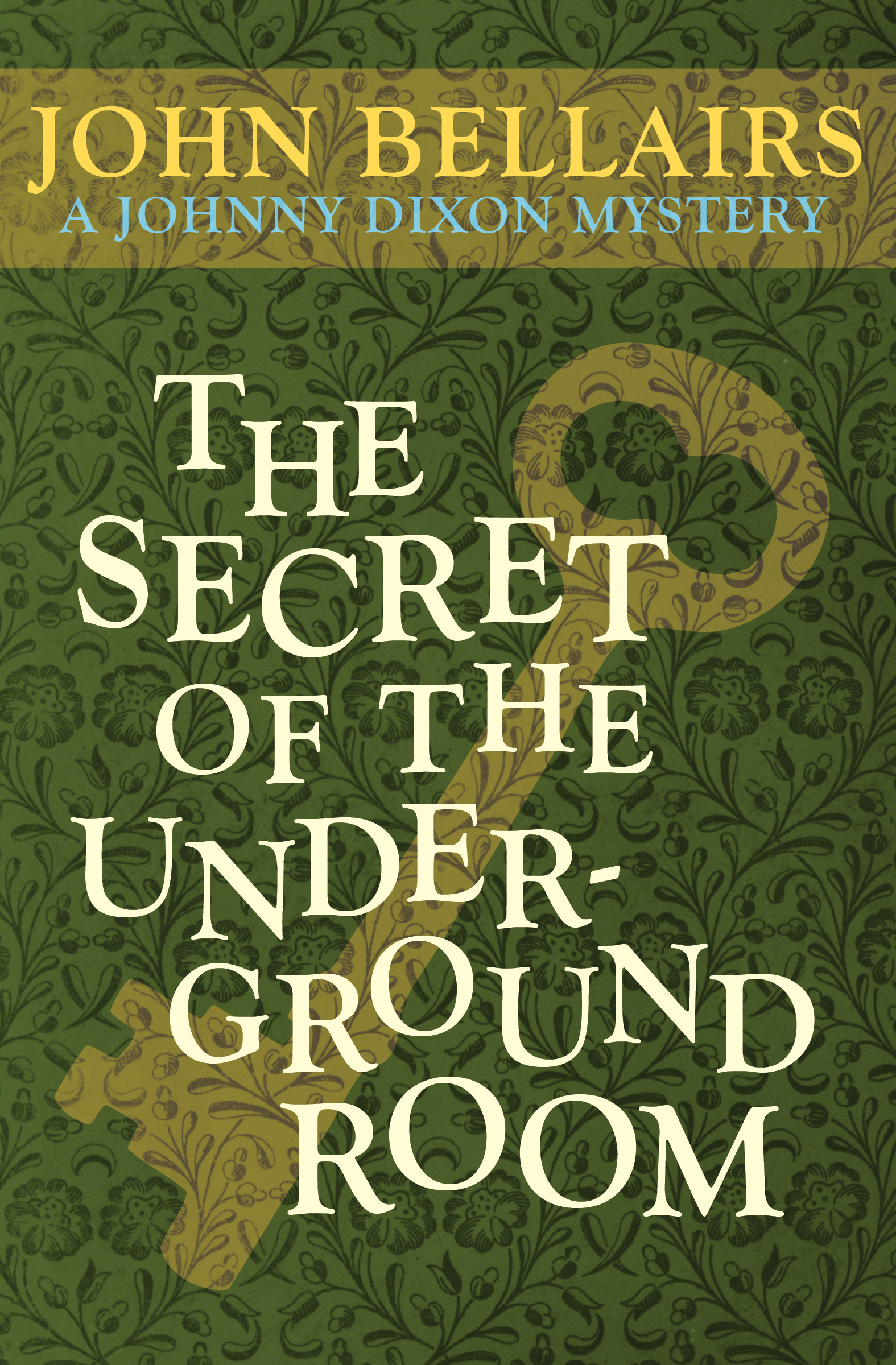 Cover of The Secret of the Underground Room