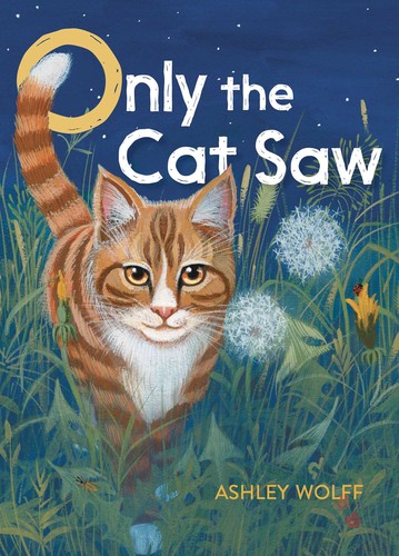 Cover of Only the Cat Saw