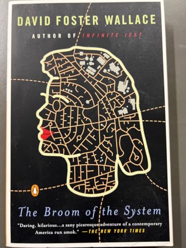 Cover of The Broom of the System