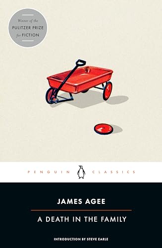 Cover of A Death in the Family