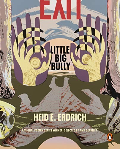 Cover of Little Big Bully