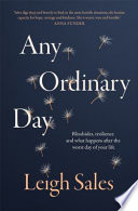 Cover of Any Ordinary Day