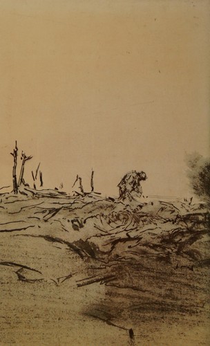 Cover of The ebb and flow of battle
