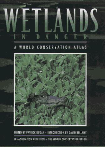 Cover of Wetlands in danger
