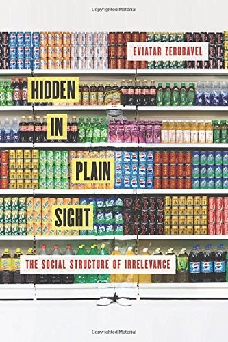Cover of Hidden in Plain Sight