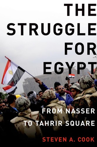 Cover of The struggle for Egypt