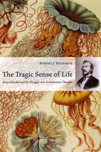 Cover of The Tragic Sense of Life