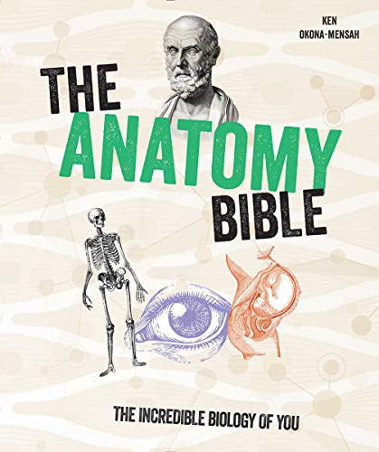 Cover of The Anatomy Bible