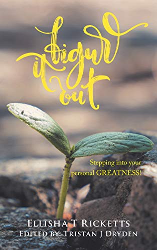 Cover of Figure It Out!