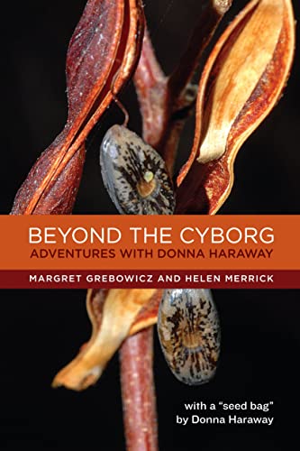 Cover of Beyond the Cyborg: Adventures with Donna Haraway