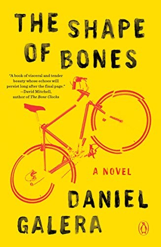 Cover of The Shape of Bones