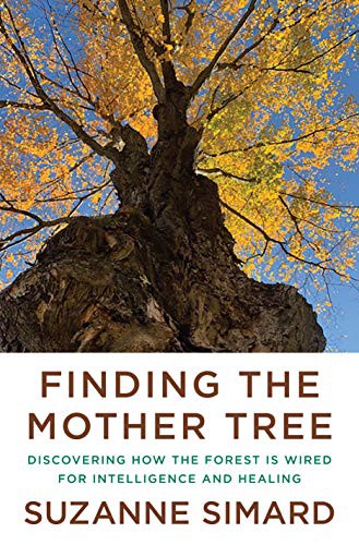 Cover of Finding the Mother Tree