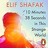 Cover of 10 Minutes 38 Seconds in this Strange World