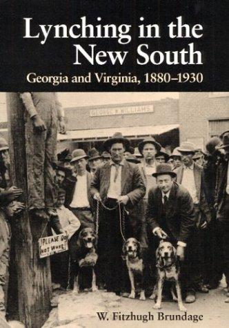 Cover of Lynching in the New South