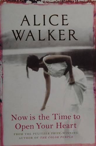 Cover of Now Is the Time to Open Your Heart