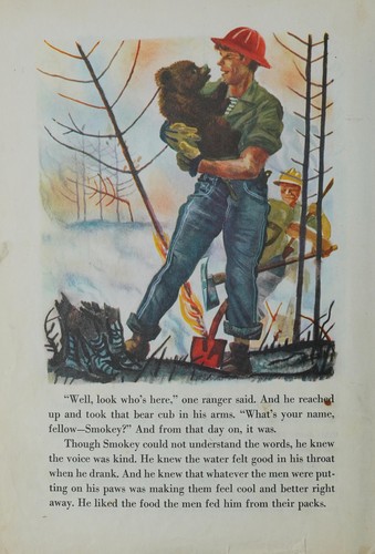 Cover of The True Story of Smokey the Bear (A Big Golden Book)