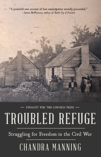 Cover of Troubled refuge
