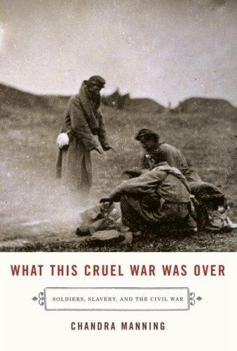 Cover of What this cruel war was over