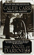 Cover of The Angel of Darkness