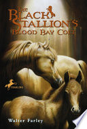 Cover of The Black Stallion's Blood Bay Colt