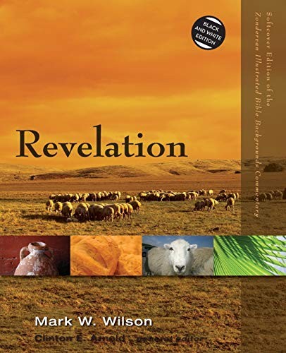 Cover of Revelation