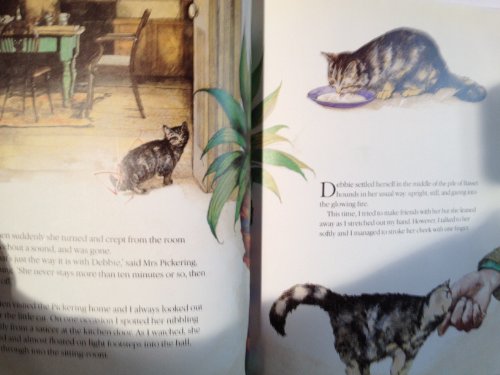 Cover of The Christmas Day Kitten