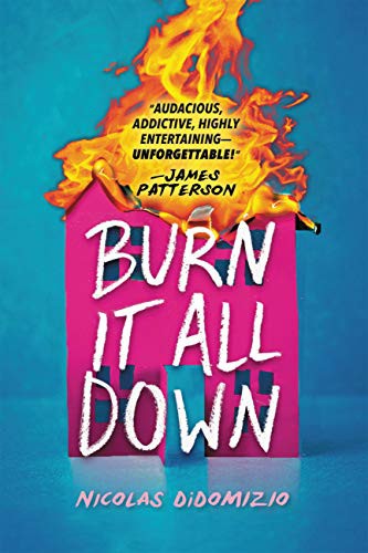 Cover of Burn It All Down