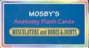 Cover of Mosby's Anatomy Flash Cards