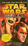 Cover of Labyrinth of Evil