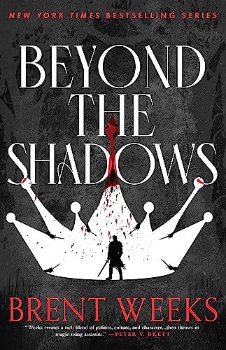 Cover of Beyond The Shadows