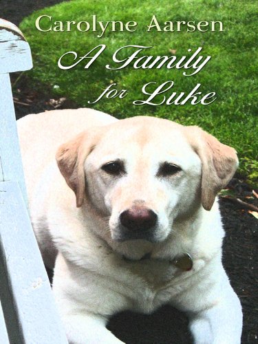 Cover of A Family for Luke