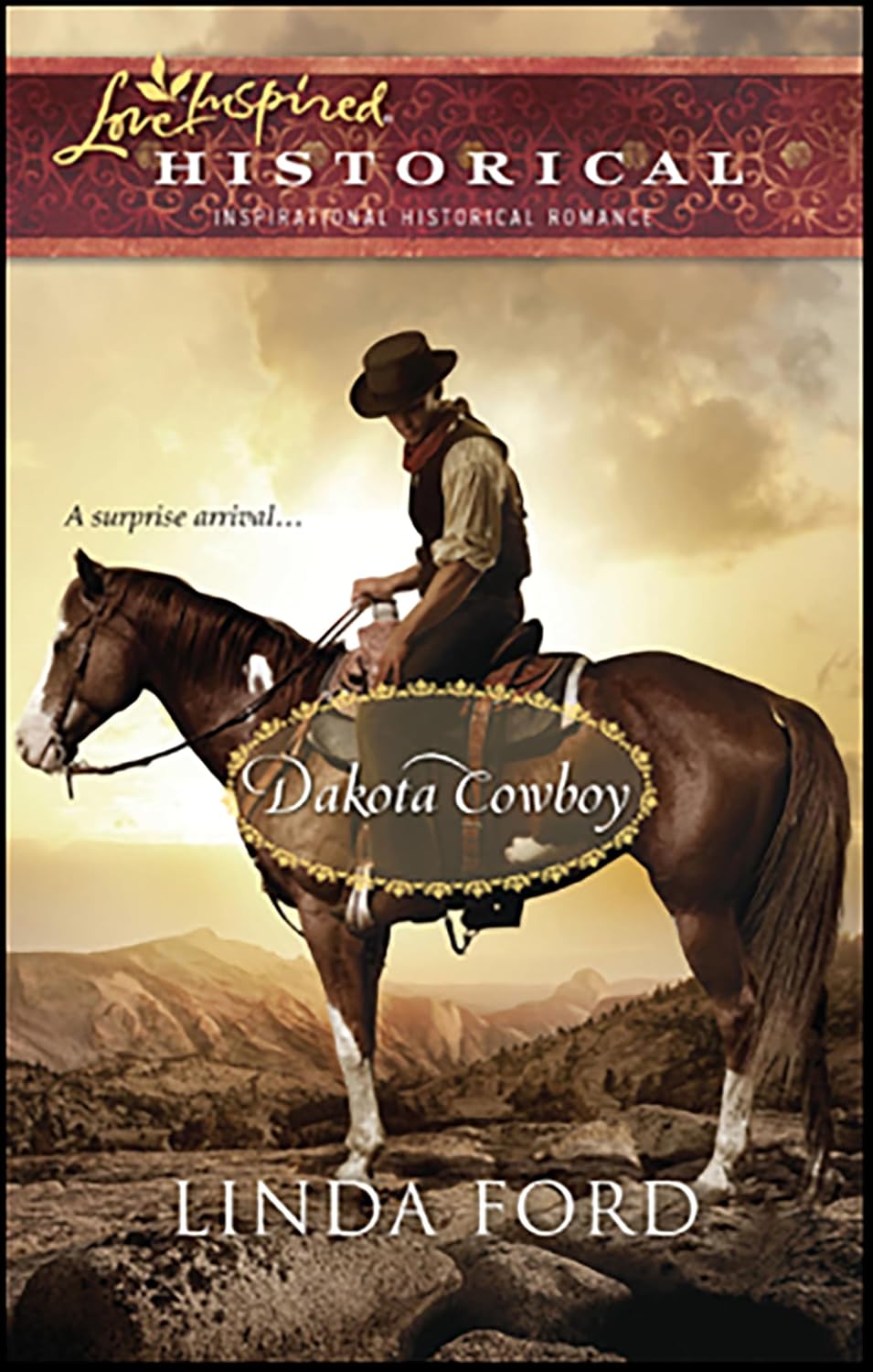 Cover of Dakota Cowboy