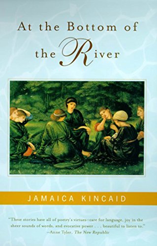 Cover of At the Bottom of the River